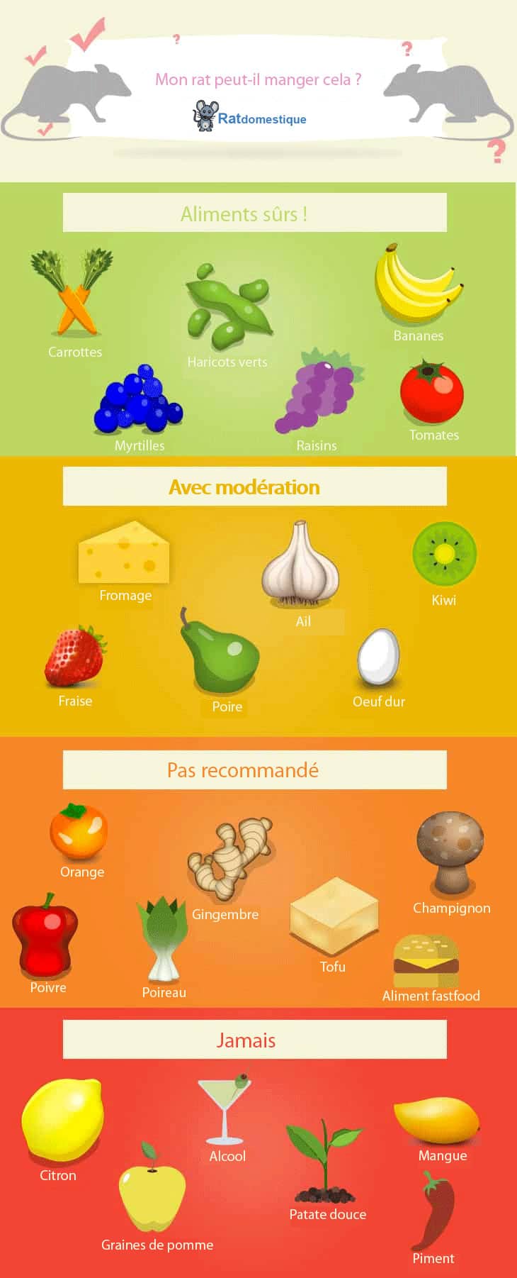 Ce que peuvent manger les rats
