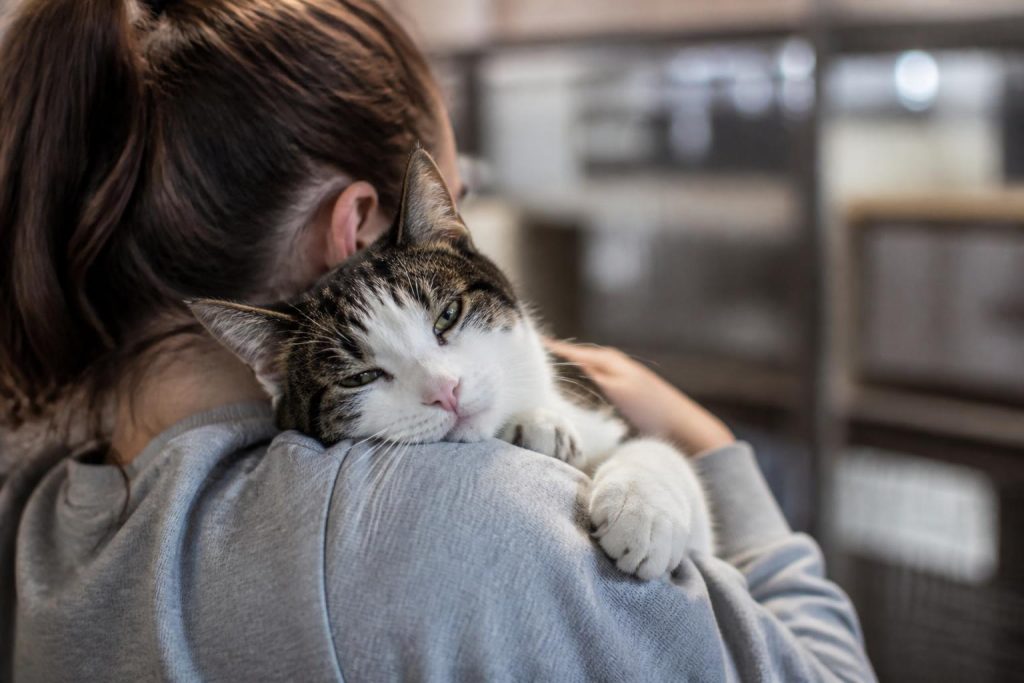 découvrez les conseils essentiels que les refuges souhaitent partager avec tous les futurs adoptants pour garantir une adoption réussie et responsable.