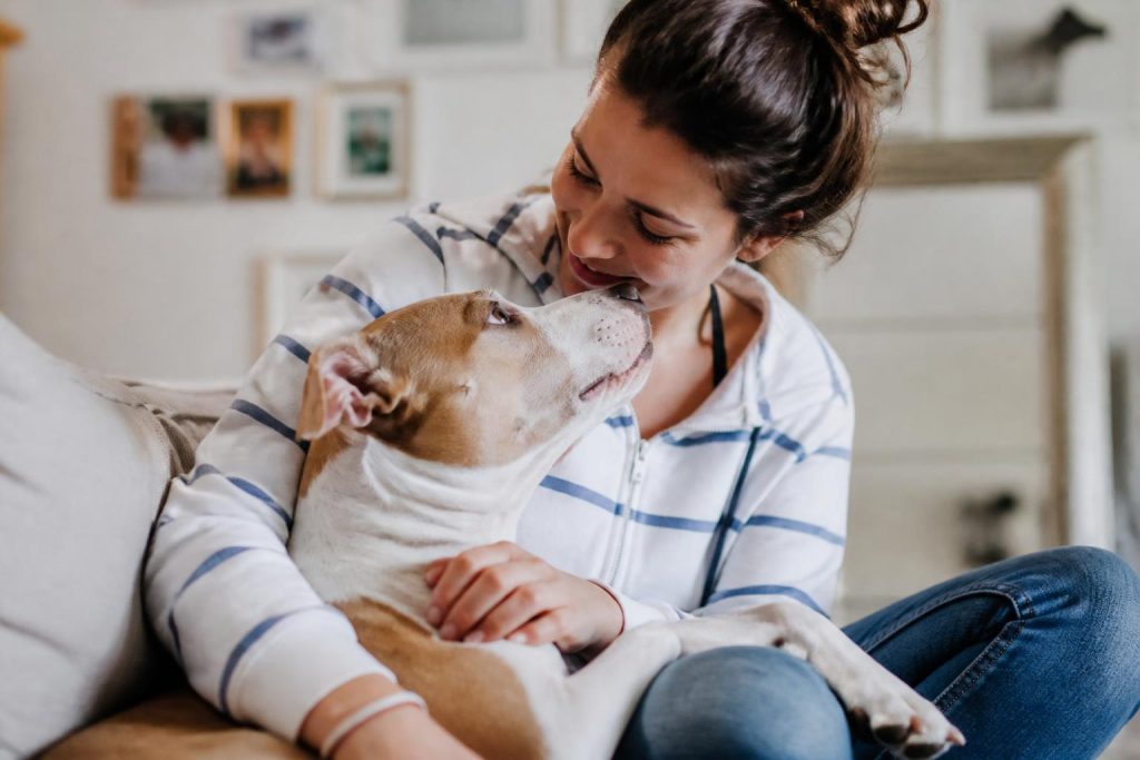 découvrez les histoires d’adoption les plus improbables qui ont profondément transformé la vie de leurs propriétaires, des récits touchants et inspirants à ne pas manquer.